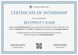 Kamyab Jawan Internship Program certificate